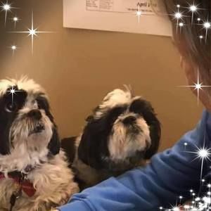 Meet your Posher, Jill